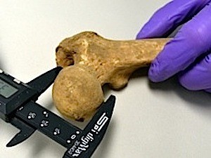 careers_forensics2_300_225